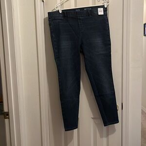NWT LP J.Jill Perfect Jeggings
